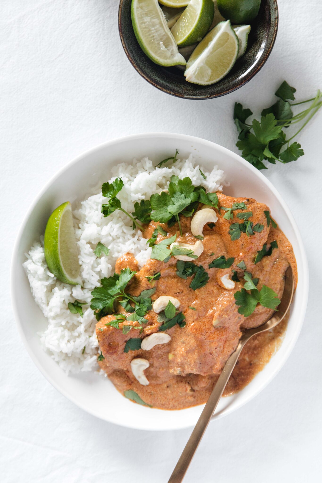 Indian Salmon Curry Restaurant Style Recipe — MajaMånborg